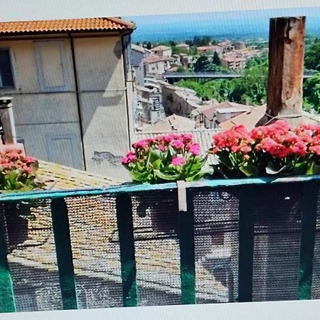 La Casa Del Sole Daire Caprarola Dış mekan fotoğraf