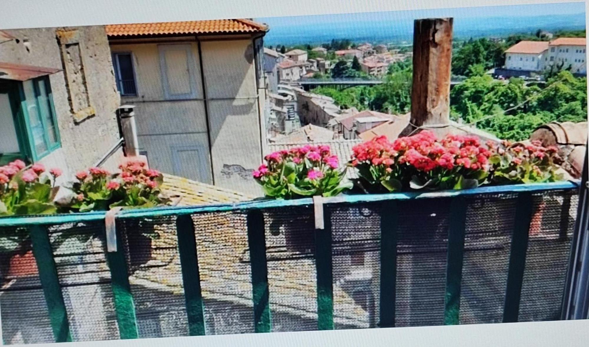 La Casa Del Sole Daire Caprarola Dış mekan fotoğraf